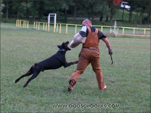 Training camp - Lukova 2007